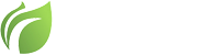 Erinea